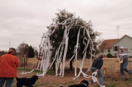 Christmas Preparations in the Tennessee Valley Image
